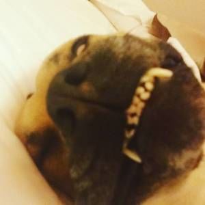 Meet your Posher, Jason